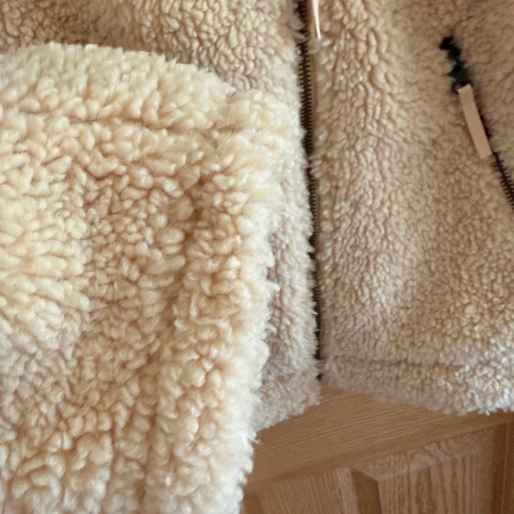 American Eagle Jacket Teddy Bear - Picture 3 of 9
